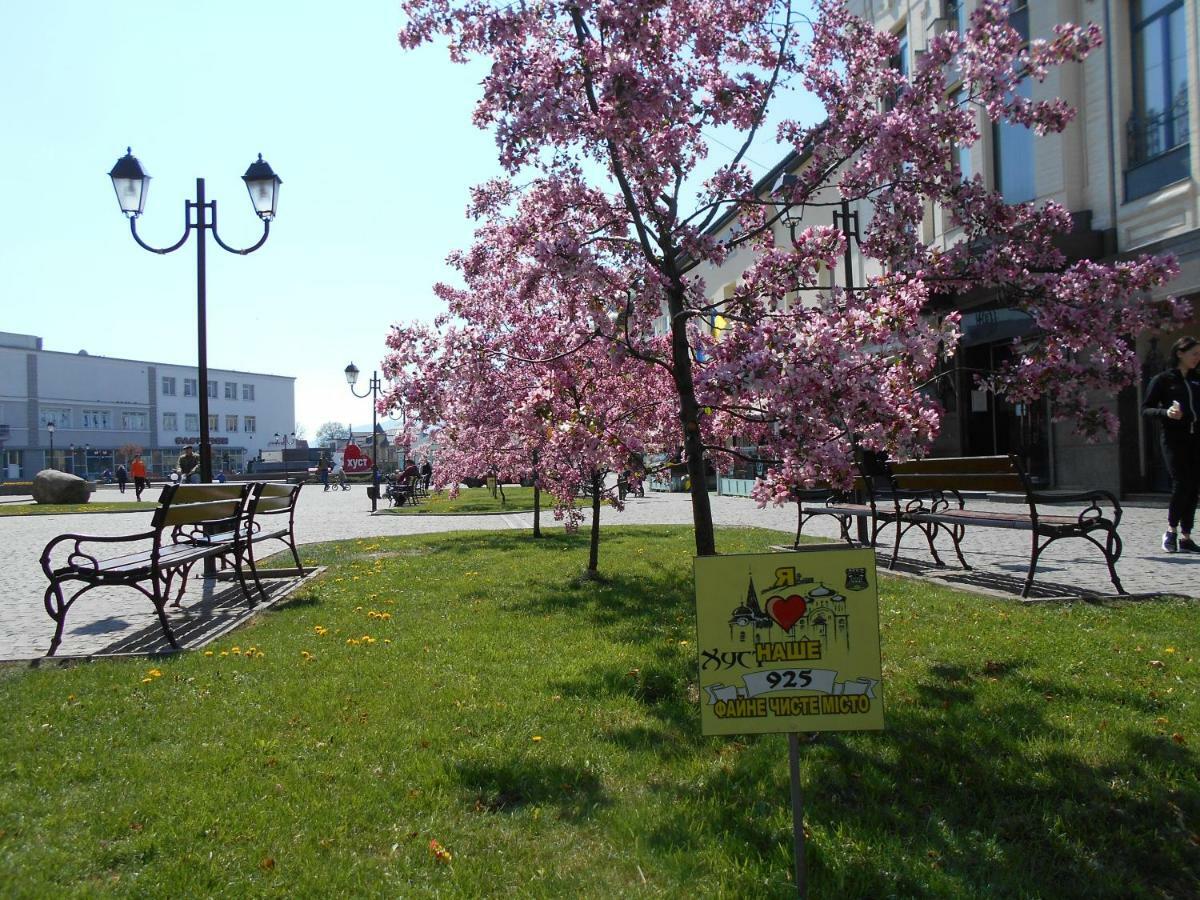 Panoramic Hostel Хуст Экстерьер фото